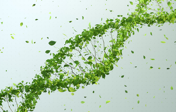 diamundialeficiencia